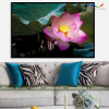 Tranh Tráng Gương Hoa Sen - HS003